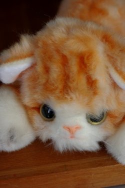 画像1: ぬいぐるみ 猫 SAN-EI