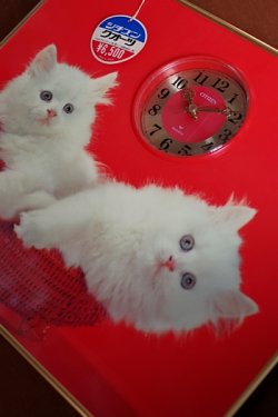 画像1: CITIZEN(シチズン)クオーツ パネルクロック ふれあい 白猫 壁掛け時計 