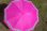 画像1: 折り畳み傘 ピンク花柄 (1)