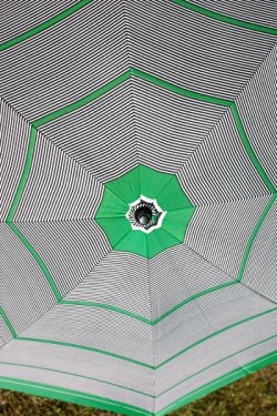 画像3: 折り畳み傘 緑ライン