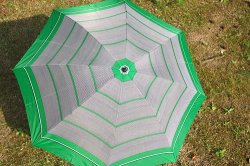 画像1: 折り畳み傘 緑ライン