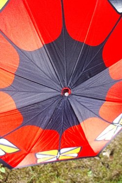 画像4: 折り畳み傘 リトル パリ