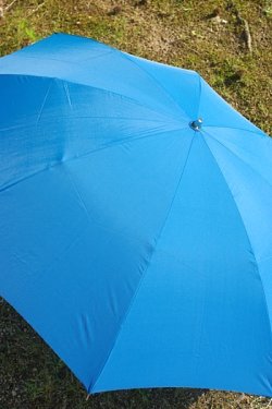 画像2: 折り畳み傘 青い傘