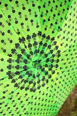 画像3: 折り畳み傘 緑・黒花模様