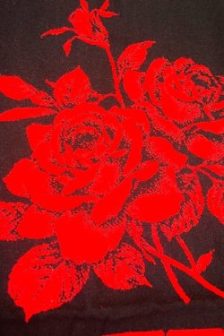 画像2: 座布団カバー 赤×黒 薔薇柄