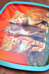 画像: お盆 スチールトレー 3匹の子猫