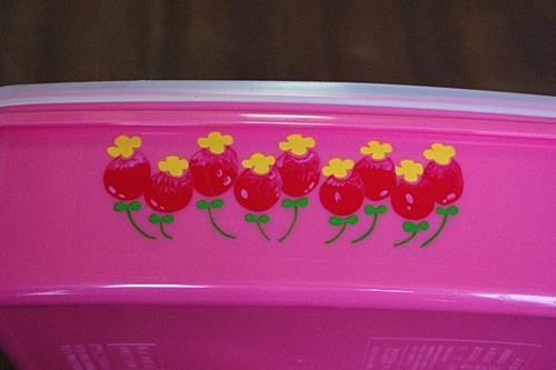 画像: ダイカプラスチック 保存容器 ピンク花柄