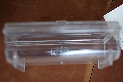 画像: ハニーケース プラスチック保存容器 ジュエリーケース 