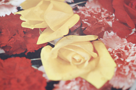 画像: お盆  薔薇とカーネーション柄/長方形